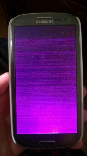 13735205_1108651359158366_1492114659_n.jpg