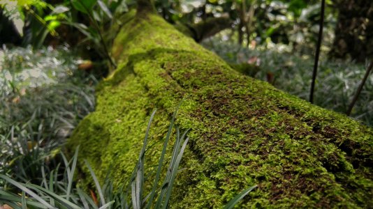 20160717_124146_HDR-01.jpg
