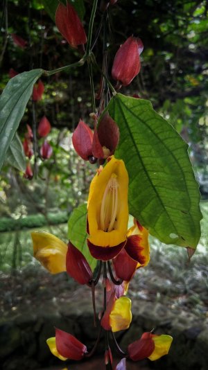 20160717_123643_HDR-01.jpg