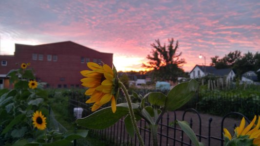 0710162047_HDR.jpg