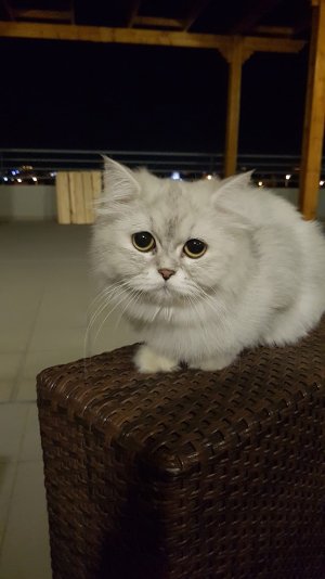 20160820_224341.jpg