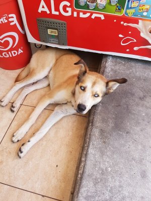 20160730_122651.jpg