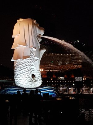 20160827_193557.jpg