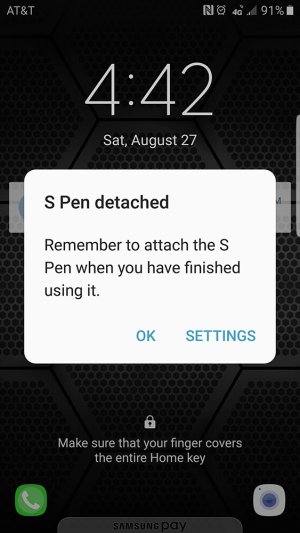 S_Pen_Detached.jpg