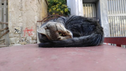 20160811_074901.jpg