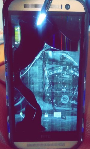Snapchat-3570174532948100047.jpg