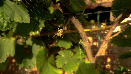 DSC_0081.jpg