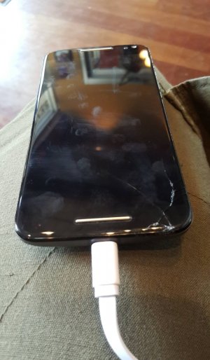 13843415_10154549834942240_1094330553_o.jpg