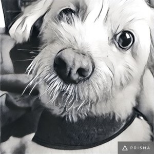 246473051461526332-account_id=0 9.23.18 AM.jpg