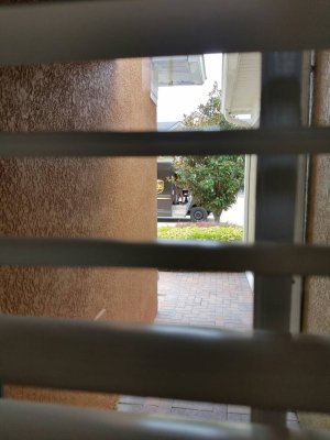 1471542270205.jpg