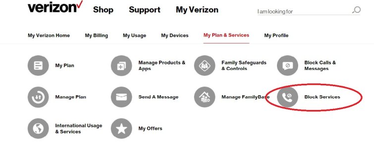 verizon block services.jpg