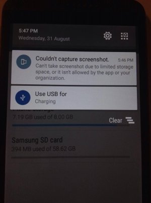 14152260_10209894726755667_539006432_o.jpg