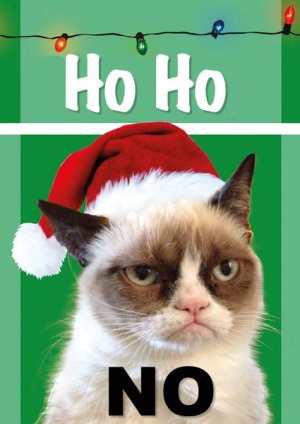 grumpy-cat-christmas.jpg