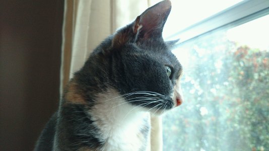 ProShot_20160816_195611 - Copy.jpg