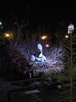 IMG_20160312_193250.jpg