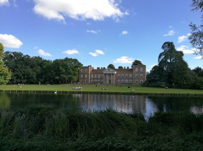 IMG_20160911_152449.jpg
