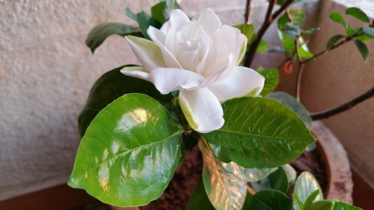 20150328_065602.jpg