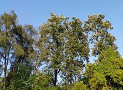 20150528_175505-1.jpg