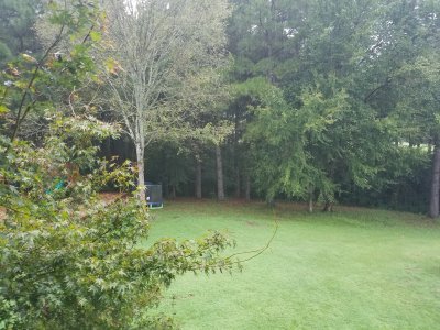 20160820_083113.jpg