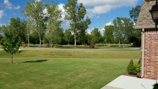 ProShot_20160819_170418.jpg