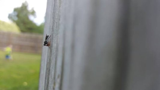 20160624_180154.jpg