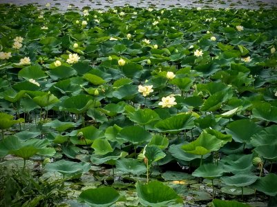 20160820_154746.jpg