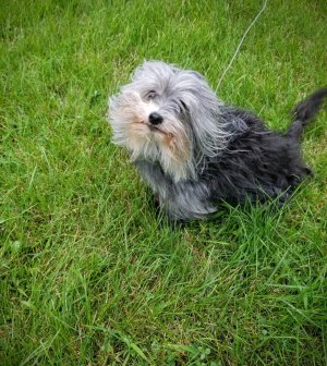 20160820_161330.jpg