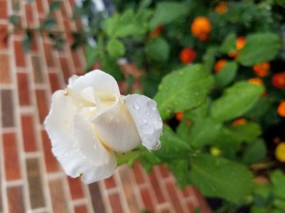 20160918_094058.jpg