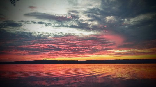 IMAG0779_1.jpg