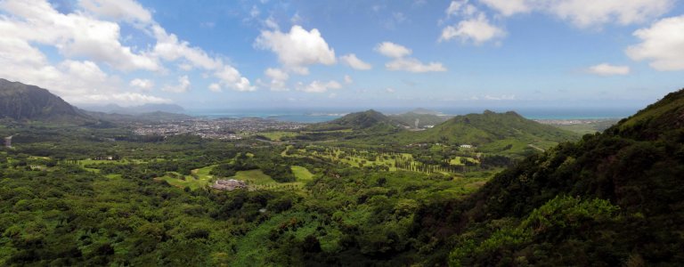 Pali.jpg