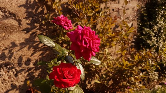 20160915_154030.jpg
