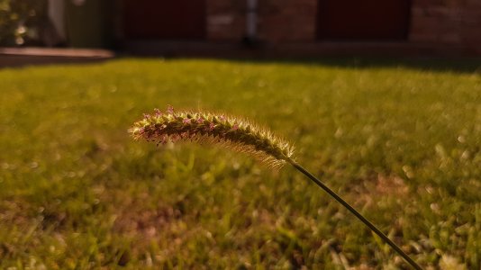 20160915_154152.jpg