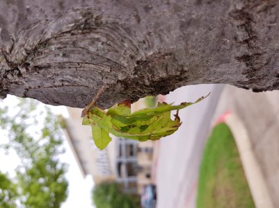 20160822_002709.jpg