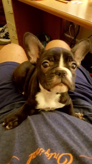 20160819_033750.jpg