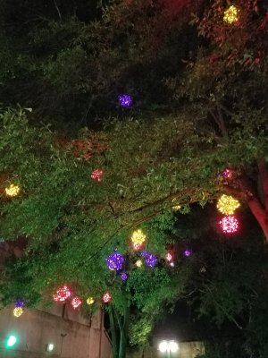 20160820_232635.jpg