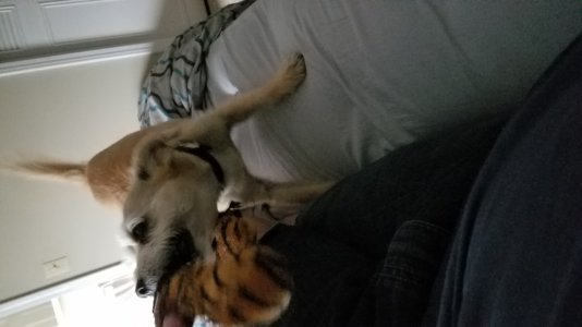 20160822_171237.jpg