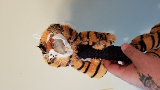 20160822_170817.jpg