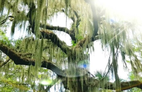 20160820_185806.jpg