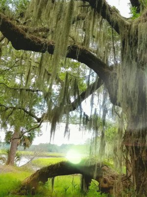 20160820_185503.jpg