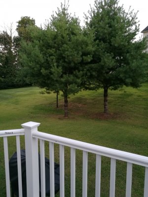 IMG_20160906_192833.jpg