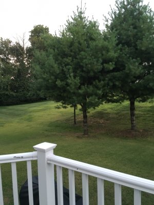 20160906_232842543_iOS.jpg