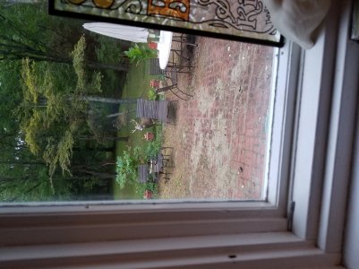 20160929_181953.jpg
