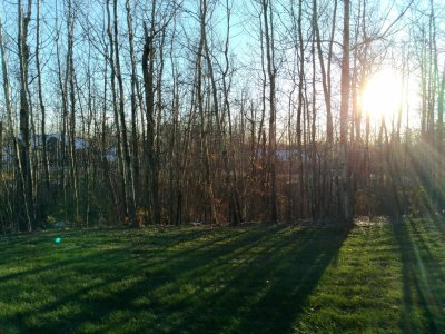 P_20161020_172520_vHDR_Auto.jpg