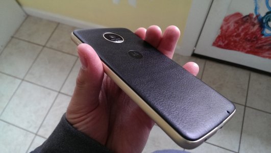 IMAG0046.jpg