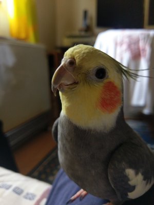IMAG0922.jpg