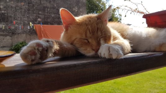 20160927_121929.jpg