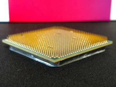 processor-cropped.jpg