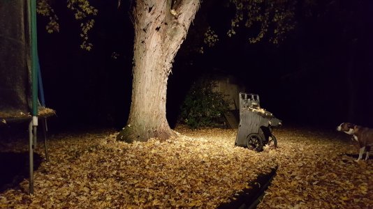 s6 (2).jpg