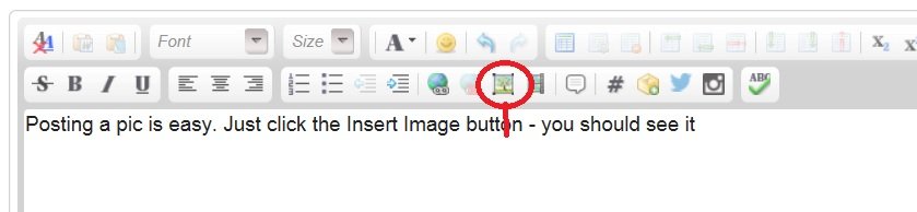 PicButton.jpg
