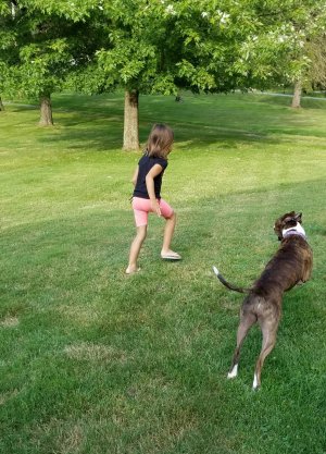 20160901_181857.jpg